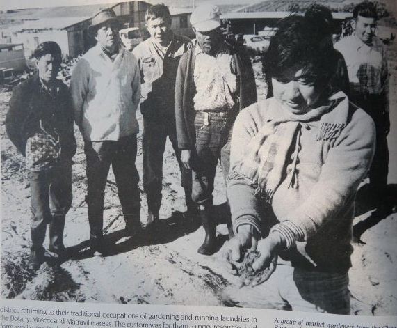 Chinese market gardeners traded vegetables for seafood with La Perouse Koori's - 1988